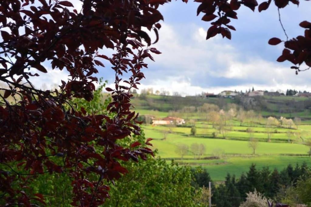 Casa Flo Villa Polignac  Dış mekan fotoğraf